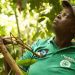 Mondelēz Brasil leva ilha interativa para ponto de venda para abordar programa global de cacau
