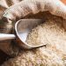 Conab vai doar sementes de arroz para agricultores familiares do RS