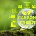 Senado analisa projeto de lei do mercado de crédito de carbono nesta terça-feira