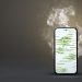 Anatel divulga lista de sites de comércio eletrônico que mais vendem celulares irregulares