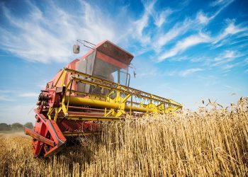 Banco do Brasil prevê liberar R$ 260 bilhões em financiamentos para o agro na safra 2024/25