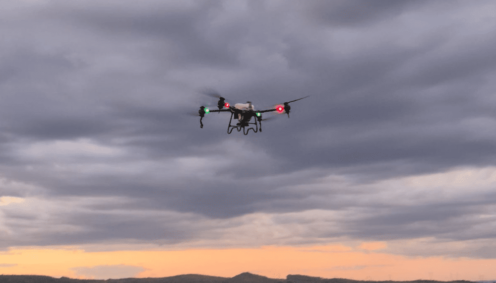 Fugini conclui projeto-piloto de drones para o cultivo de milho doce em Goiás