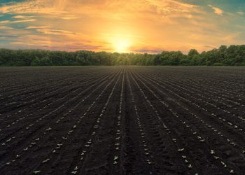 Puxada pelo RS, agroindústria registra queda 1,7% em maio