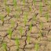 Estudo aponta impacto negativo de mudanças climáticas na agricultura