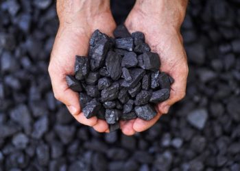 Brasil pode se tornar protagonista na produção de biocarvão, mostra estudo da EPE