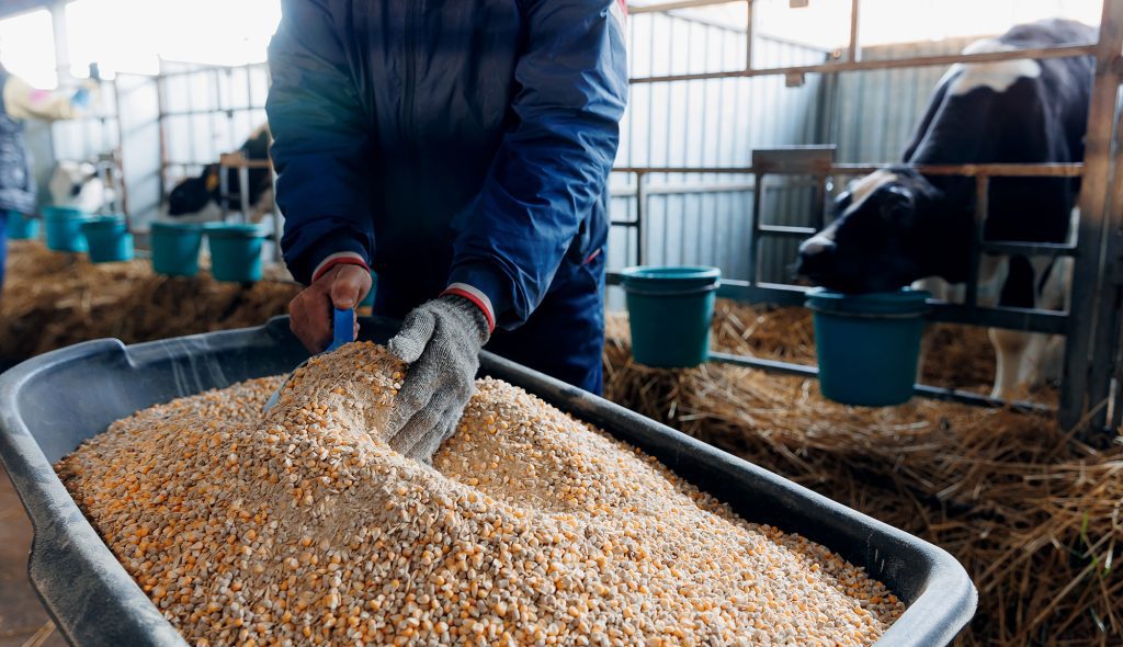 Valor Bruto da Produção agropecuária deve recuar 3,2% neste ano, para R$ 1,2 trilhão