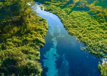Amcham reúne R$ 38,8 bi em projetos de investimento sustentável no Brasil