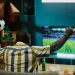 Crescimento do streaming e mídias digitais influencia a forma de consumo de esportes