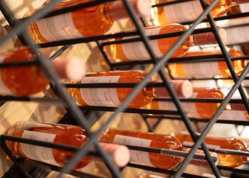 Grupo Wine lança e-commerce exclusivo para o mercado B2B para ampliar distribuição de vinhos no Brasil