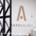 Justiça de Goiás aprova pedido de recuperação judicial da AgroGalaxy