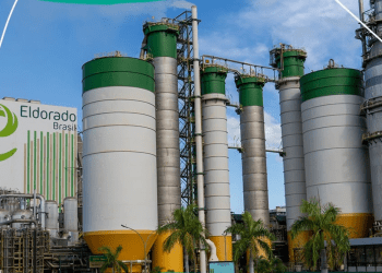 Cade homologa despacho e Eldorado tem 5 dias para recurso da Paper Excellence