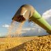Governo nomeia 11 novos adidos agrícolas do Brasil no exterior