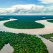 Lula edita decreto que cria Programa Selo Amazônia para certificação de serviços e produtos