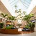 Shopping Parque Dom Pedro, em Campinas, vai receber loja da H&M em 2025