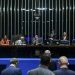 Senado aprova teto para salário mínimo e mudanças no BPC