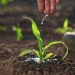 Brasil abriu 300 mercados para produtos agropecuários em menos de 2 anos