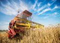 Financiamentos do BNDES para o agronegócio crescem 26% em 2024, para R$ 52,3 bilhões