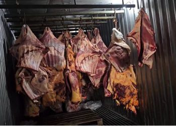 Suspeitos de vender carne estragada têm prisão preventiva decretada
