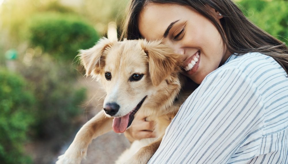 Shopping Cidade São Paulo promove evento de adoção de animais 