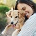 Shopping Cidade São Paulo promove evento de adoção de animais 