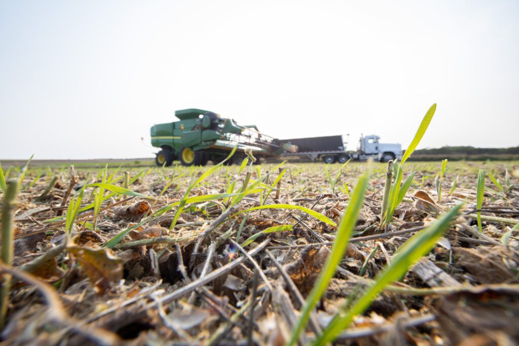Cargill investe R$ 1,7 bilhão no Brasil; nos últimos cinco anos, foram de mais de R$ 8 bilhões