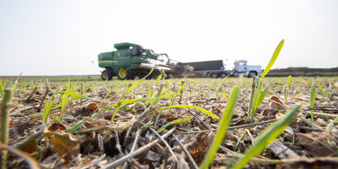 Cargill investe R$ 1,7 bilhão no Brasil; nos últimos cinco anos, foram de mais de R$ 8 bilhões
