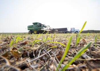 Cargill investe R$ 1,7 bilhão no Brasil; nos últimos cinco anos, foram de mais de R$ 8 bilhões