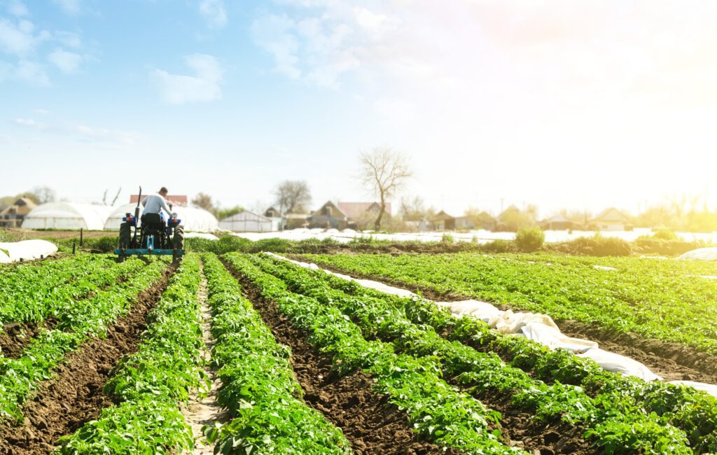 Puxado pela agropecuária, PIB cresce 1,4% no primeiro trimestre de 2025