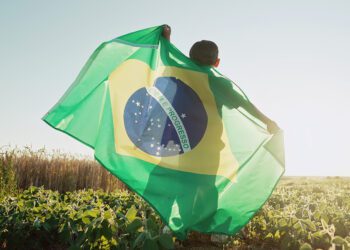 Brasil: O Gigante Global dos alimentos e seus diferenciais em meio a desafios comerciais