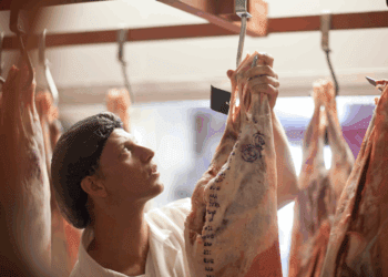 MDIC publica distribuição dos 30 principais itens exportados pelo Brasil aos EUA pós-tarifaço