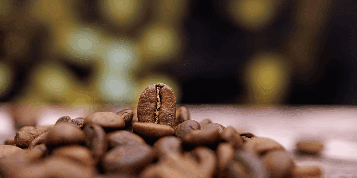 Ministério da Agricultura apreende 21 toneladas de café irregular