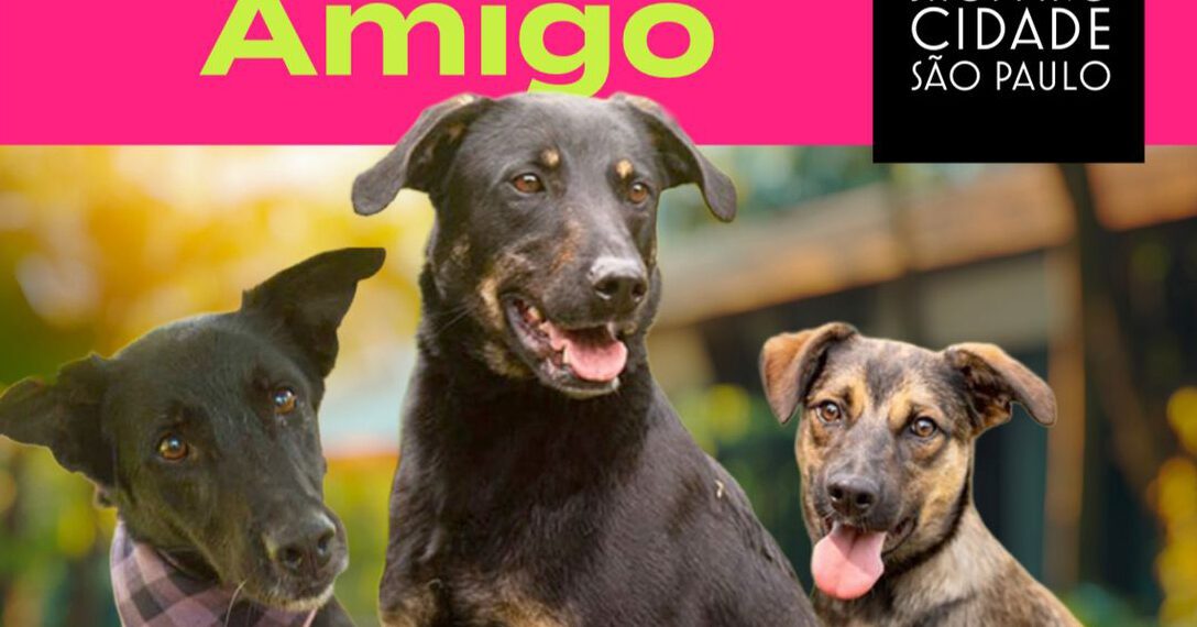 Evento de adoção de pets movimenta Avenida Paulista neste domingo