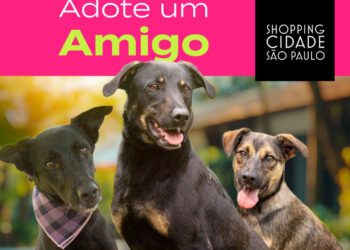 Evento de adoção de pets movimenta Avenida Paulista neste domingo