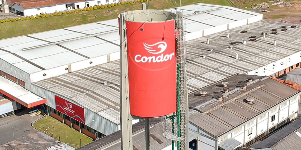 Condor lança programa de aceleração de startups