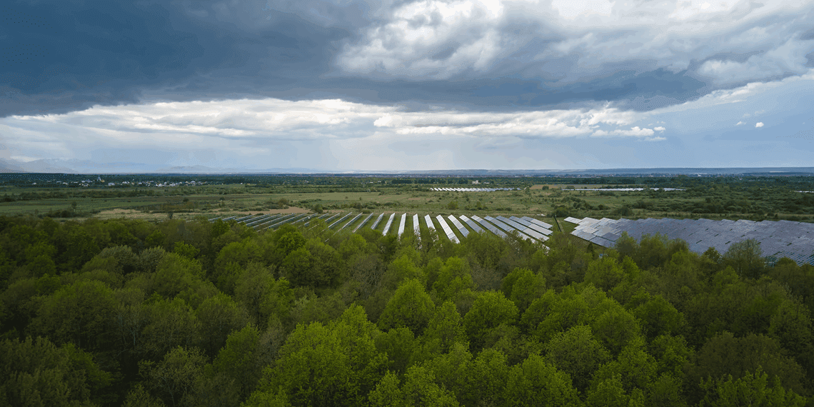 BB assina convênio de R$ 50 mi com a Natura para financiamento de Sistemas Agroflorestais