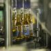 Ambev amplia produção em Santa Catarina para suprir demanda por cervejas