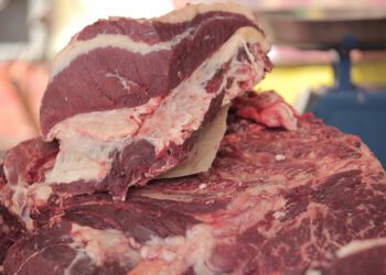 Salvaguarda pela China impõe reorganização dos fluxos de produção e exportação de carne bovina no Brasil