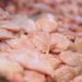 Canadá reabre mercado para frango do Brasil e restrições à carne do País chegam ao fim