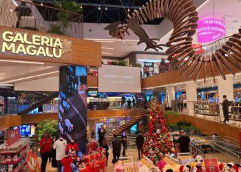 Flagship não é canal. É estratégia de marca, mercado e crescimento