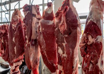 Governo trabalha com iniciativa privada para mitigar salvaguarda de carne bovina da China