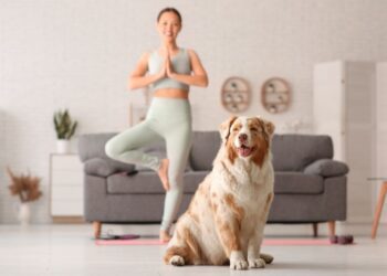 Cobasi realiza feira de adoção de cães com aulas de dog yoga