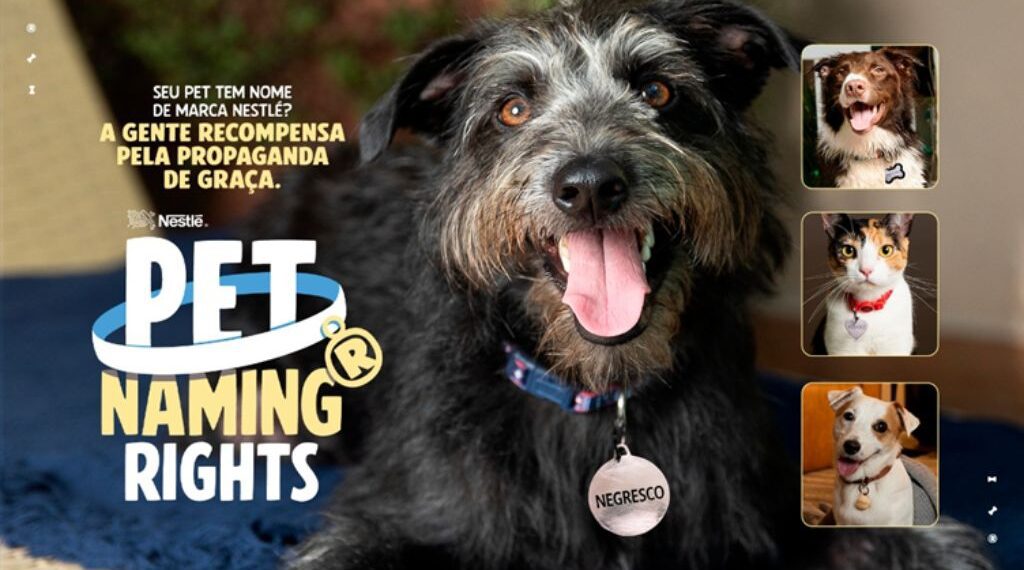 Nestlé premia com 162 reais os tutores de pets com nomes de marcas famosas