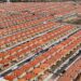 Governo anuncia aporte de R$ 20 bi do Fundo Social para o Minha Casa, Minha Vida