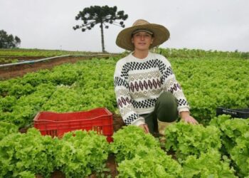 Mulheres comandam produção em duas em cada dez propriedades rurais