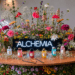 Renner Alchemia