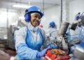 MBRF abre 43 vagas de estágio para estudantes de engenharia e veterinária em 11 estados