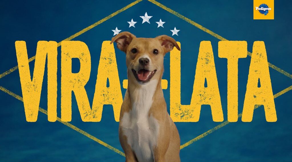 Exclusivo: Pedigree aposta em culinária nacional e no "vira-lata caramelo" para crescer no Brasil