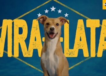 Exclusivo: Pedigree aposta em culinária nacional e no "vira-lata caramelo" para crescer no Brasil