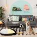 Tok&Stok lança linha de produtos destinados a animais de estimação