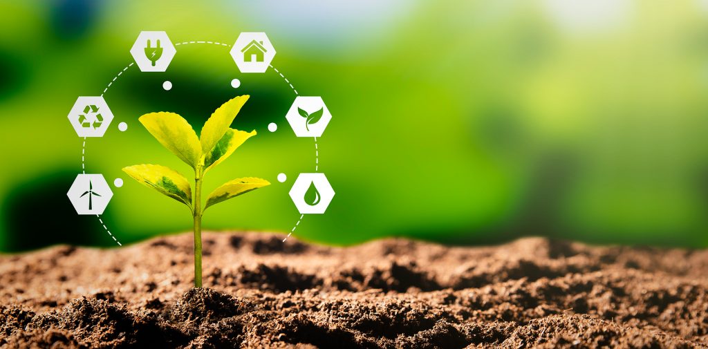 LDC anuncia colaboração com The Nature Conservancy para promover agricultura regenerativa